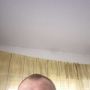Гот