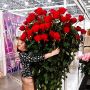Елена из Новосибирск | ♀ Женщина | 41 год | Новосибирск