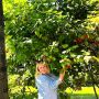 Оля Солнцева из Ленинск-Кузнецкий | ♀ Женщина | 43 года | Ленинск-Кузнецкий
